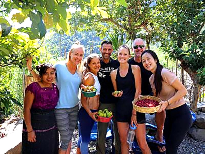 Garden harvest at Buddha Cafe