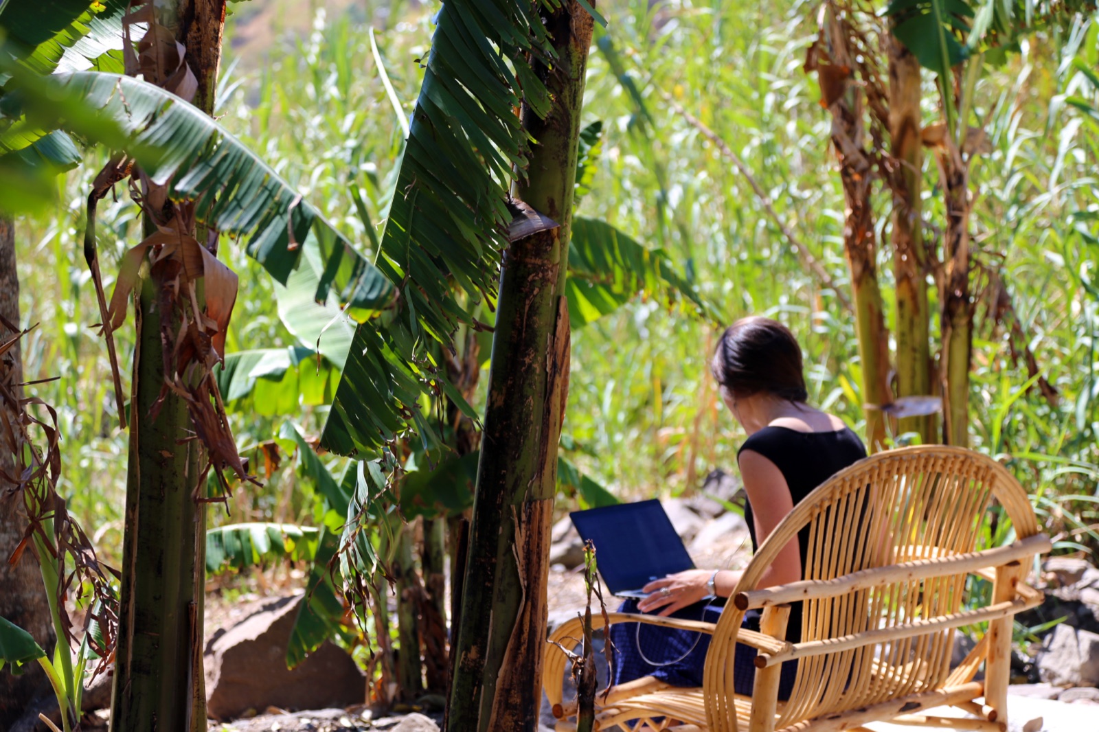A quiet place to work in the garden